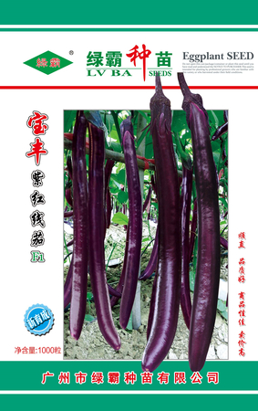 宝丰紫红线茄种子