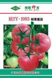 抗TY-1983粉果番茄种子